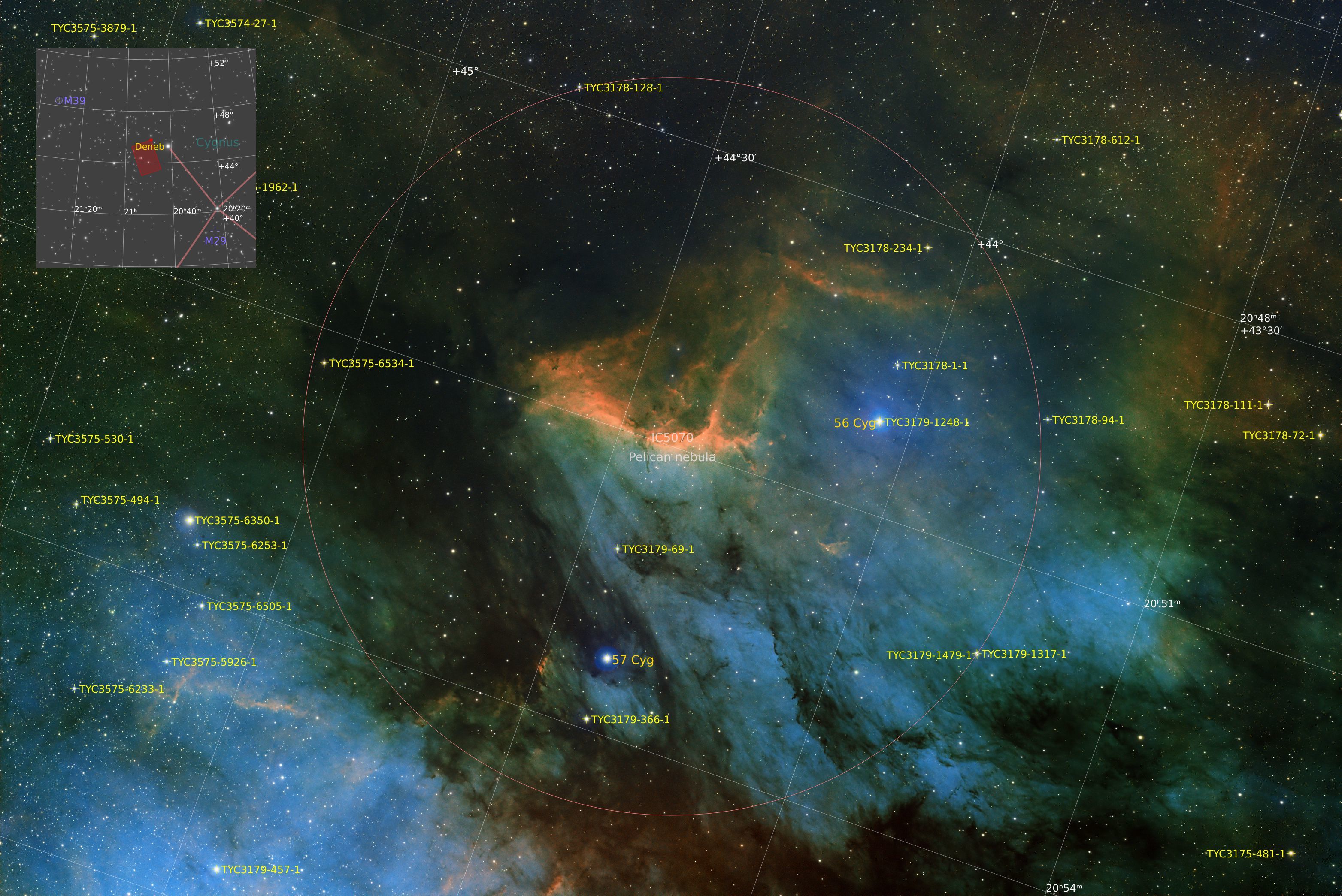 Pelican Nebula, narrowband, annotated)