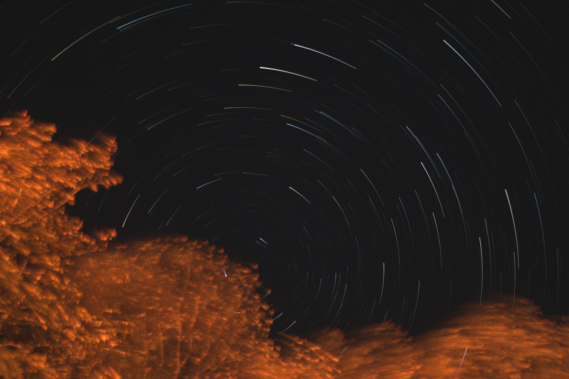 Star trails around the Polaris region